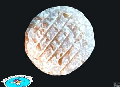 túró