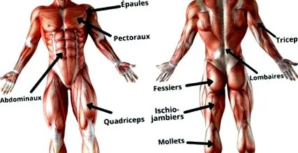 burpee