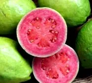 guava
