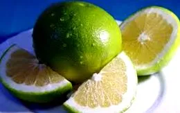 grapefruit grapefruit