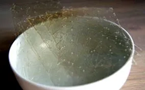 gelatină
