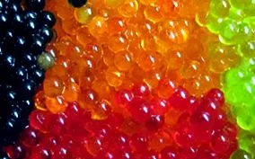 semiconservate calorii