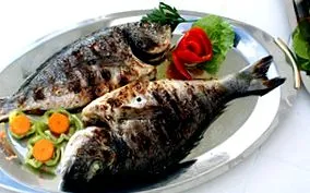 tilapia