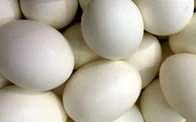 liba tojás