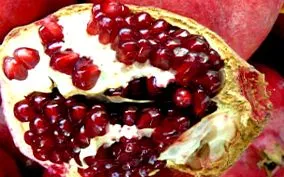 calorii