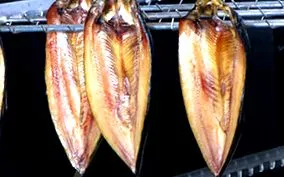 hering