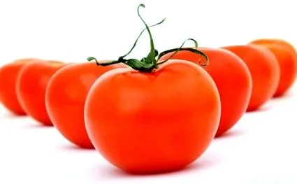 calorii