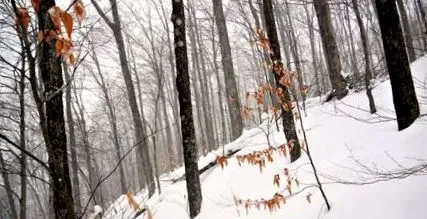 kanada
