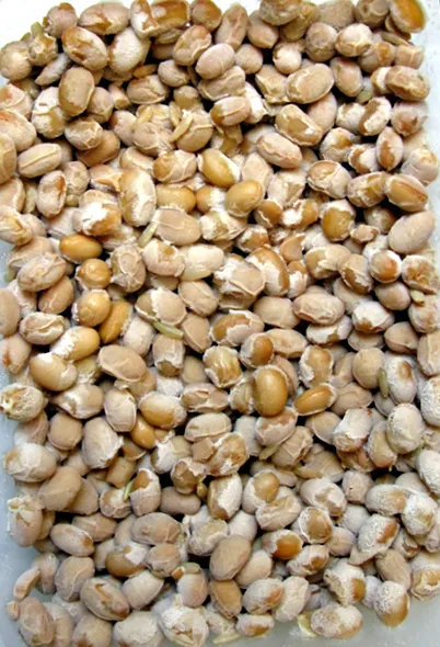 cheonguk-jang natto