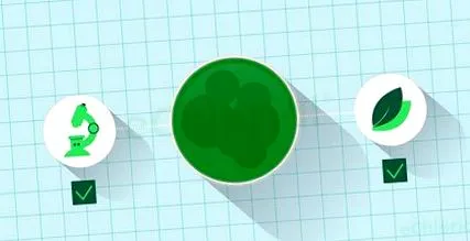 chlorella