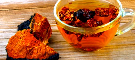 chaga chaga