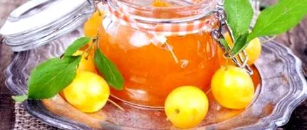 calorii