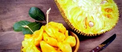 jackfruit