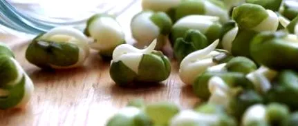 calorii