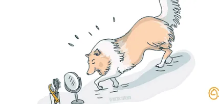 vigyázzon