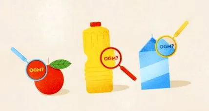 генетично модифіковані дізнатися