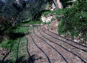 geotermikus