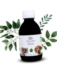 detox