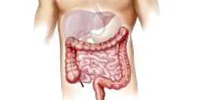 cumpără detoxer
