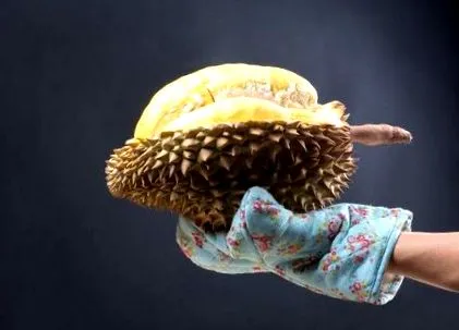 durian mirositor