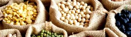 alimente alimente