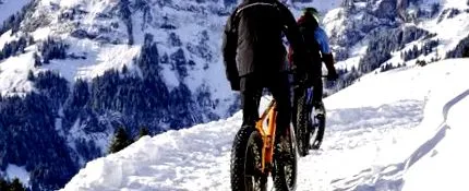 egészség
