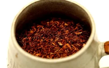rooibos