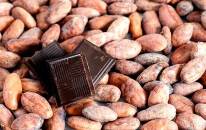 cacao