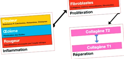oprirea