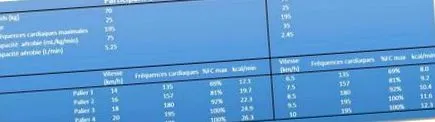 ritmul cardiac caloriile