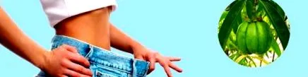 cambogia cambogia