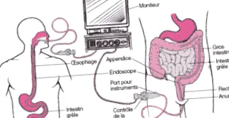 hepato-gastroenterologie
