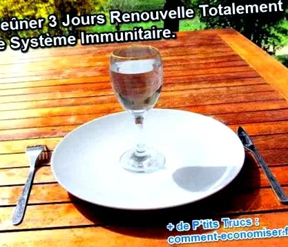 sistemul