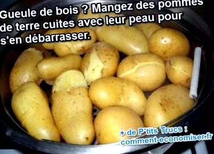burgonya másnaposság