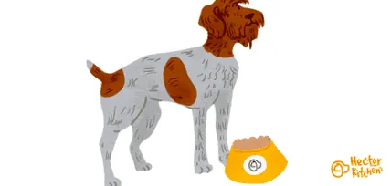 griffon teljes