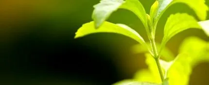 e960