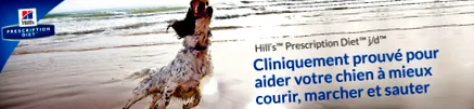 diet diet