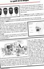 revizuire dieta