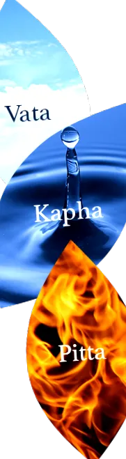 ayurveda