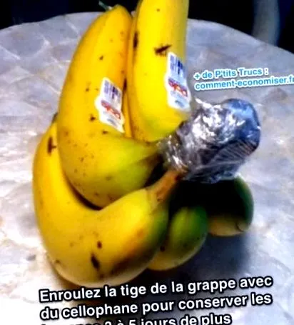 tipp megőrzésére