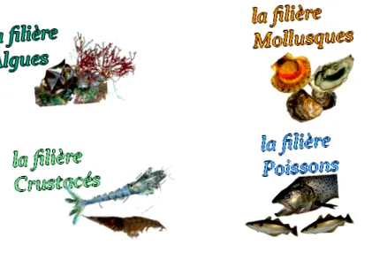 alte produse