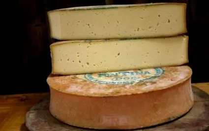 fontina