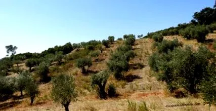portugáliában