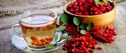infuzie