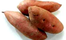 édesburgonya