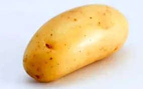 шарлотта