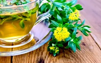 rhodiola