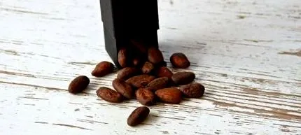 cacao crudă