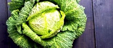 varză calorii