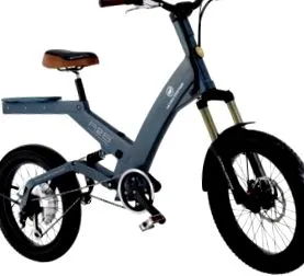 bikelec